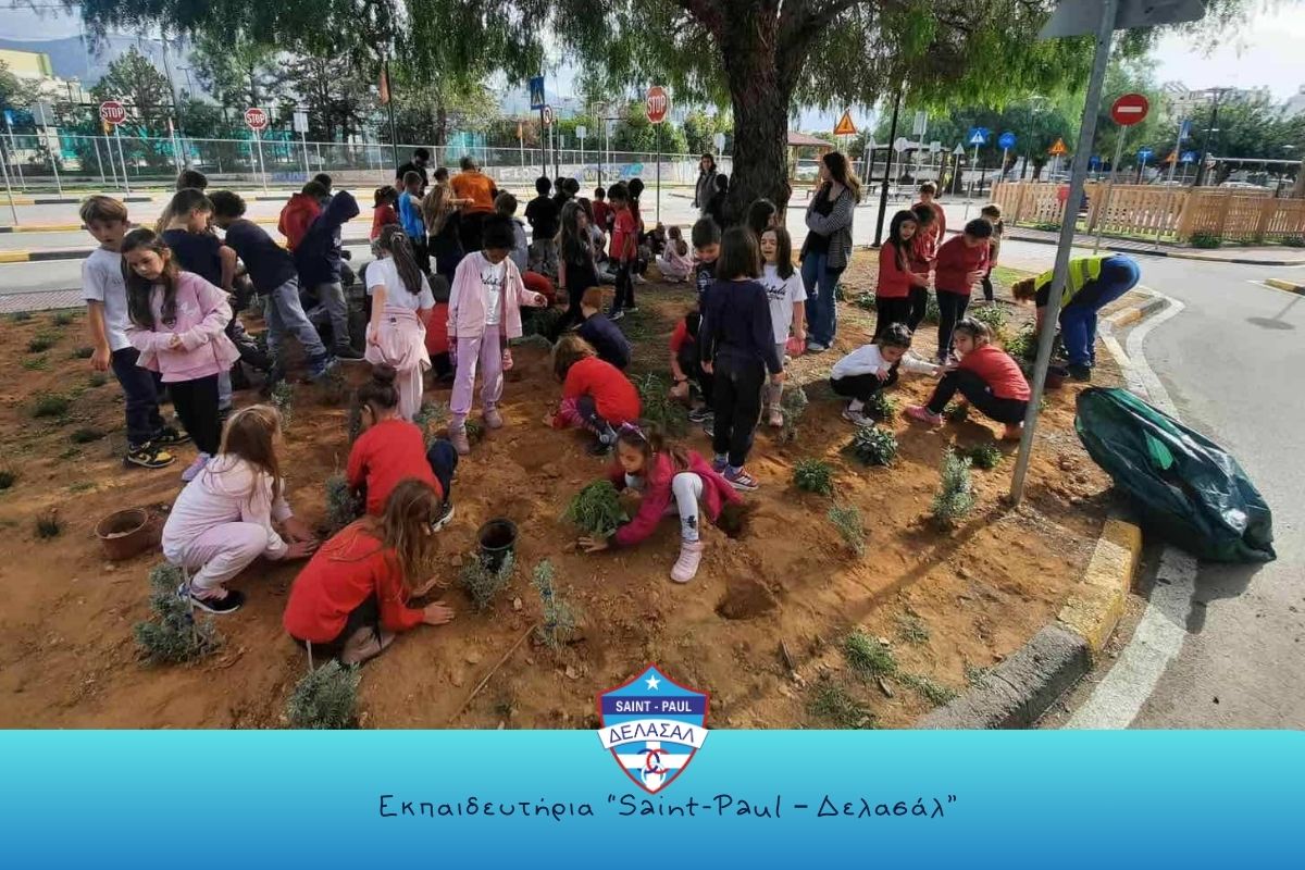 Δράση δεντροφύτευσης Β' δημοτικού 